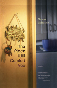 The Place Will Comfort You (Stories) by Naama Goldstein, 9781416578673