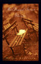 MacDougal Street Ghosts (A Novel) by Hesper Anderson, 9781416586333