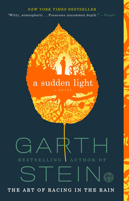 A Sudden Light (A Novel) by Garth Stein, 9781439187043
