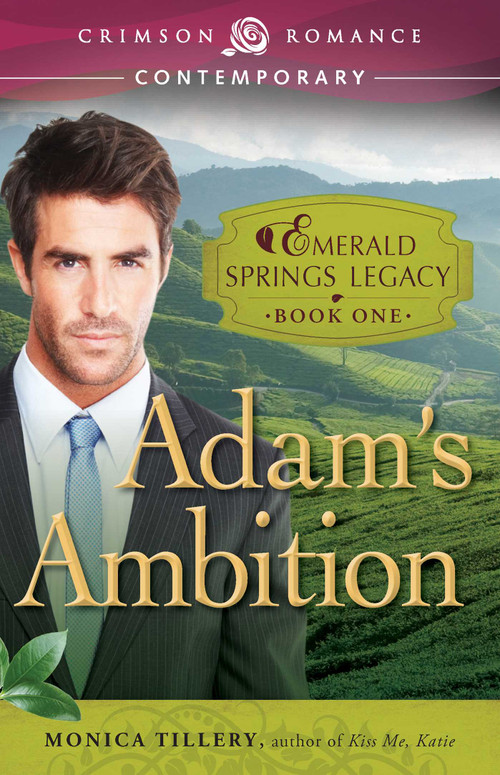 Adam's Ambition by Monica Tillery, 9781440570971