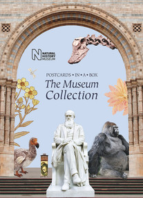 The Museum Collection (Postcards in a Box) by Natural History Museum, 9780565094362