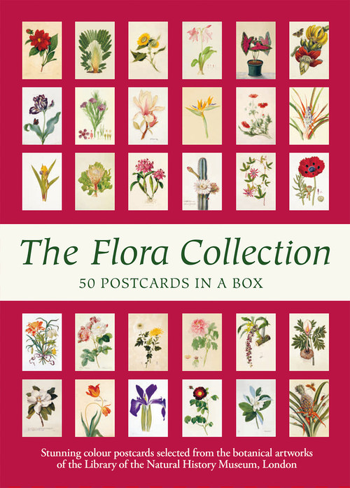 The Flora Collection (Postcards in a Box) by Natural History Museum, 9780565094409