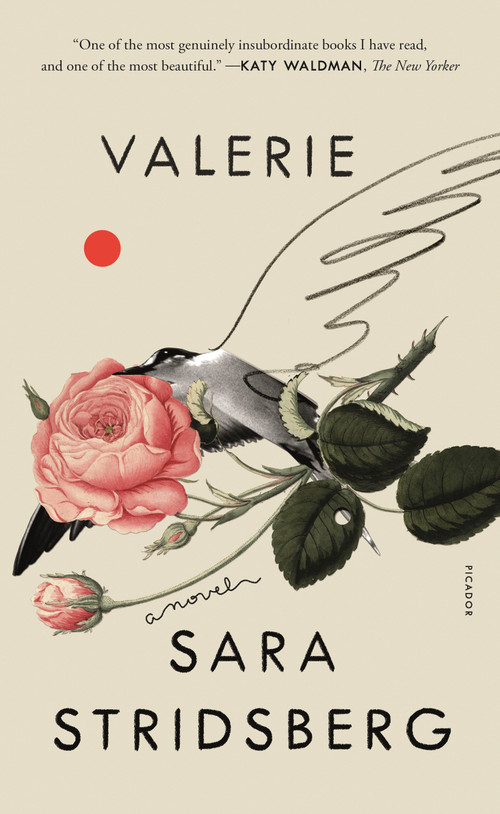 Valerie (or, The Faculty of Dreams: A Novel) - 9781250619594 by Sara Stridsberg, Deborah Bragan-Turner, 9781250619594