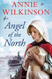 Angel of the North by Annie Wilkinson, 9781471115363