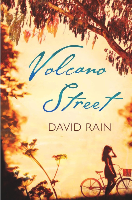 Volcano Street by David Rain, 9780857892072