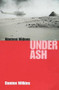 Nineteen Widows Under Ash by Damien Wilkins, 9780864733955