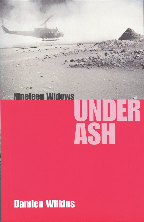 Nineteen Widows Under Ash by Damien Wilkins, 9780864733955