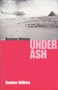 Nineteen Widows Under Ash by Damien Wilkins, 9780864733955