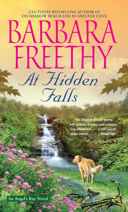 At Hidden Falls by Barbara Freethy, 9781501129940