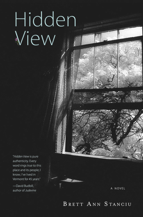 Hidden View by Brett Ann  Stanciu, 9780996135702
