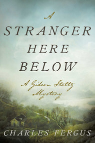 A Stranger Here Below (A Gideon Stoltz Mystery) by Charles Fergus, 9781510738508
