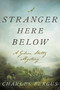 A Stranger Here Below (A Gideon Stoltz Mystery) by Charles Fergus, 9781510738508
