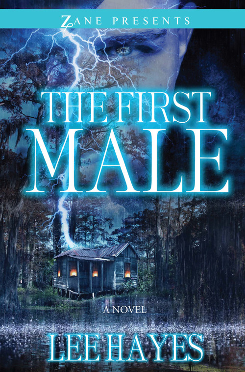 The First Male (A Novel) by Lee  Hayes, 9781593094393