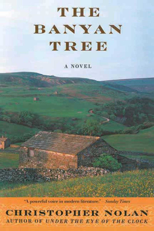 The Banyan Tree (A Novel) by Christopher Nolan, 9781611457575