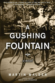 A Gushing Fountain (A Novel) by Martin Walser, David Dollenmayer, 9781628724240