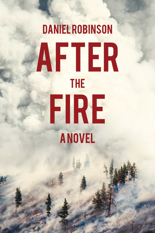 After the Fire (A Novel) by Daniel Robinson, 9781634503129