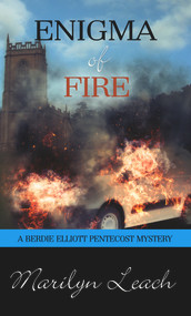 Enigma of Fire by Marilyn Leach, 9781611165272