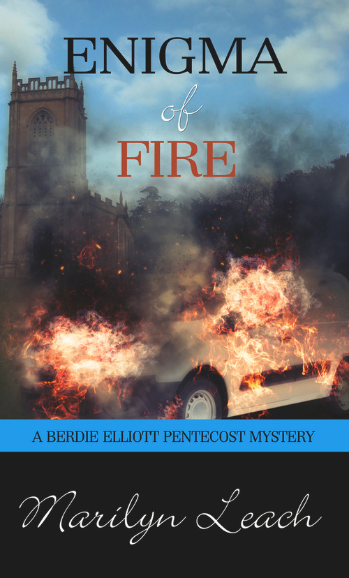 Enigma of Fire by Marilyn Leach, 9781611165272