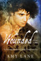 Wounded, Vol. 1 by Amy Lane, 9781632169532