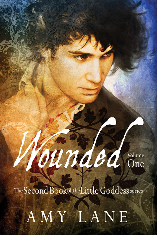 Wounded, Vol. 1 by Amy Lane, 9781632169532