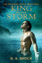 King of the Storm by B. A. Brock, 9781634761574