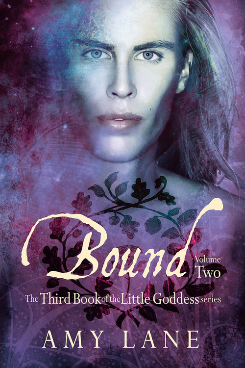 Bound, Vol. 2 by Amy Lane, 9781634764599