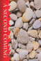 A Second Coming (Canadian Migration Fiction) by Michael Mirolla, Don Mulcahy, 9781771831208