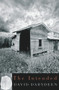 The Intended by David Dabydeen, 9781845230135