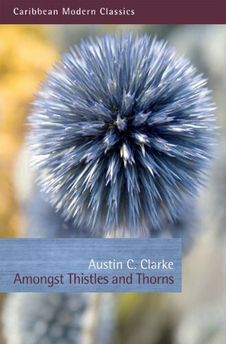Amongst Thistles and Thorns by Austin C. Clarke, 9781845231477