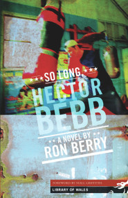 So Long, Hector Bebb by Ron Berry, Niall Griffiths, 9781902638805