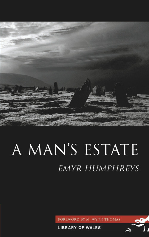 A Man's Estate by Emyr Humphreys, M. Wynn Thomas, 9781902638867