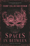 The Spaces in Between by Count Collin van Reenan, 9781910453483