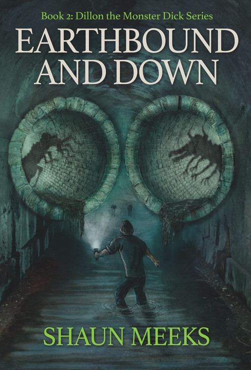 Earthbound and Down by Shaun Meeks, 9781925496413
