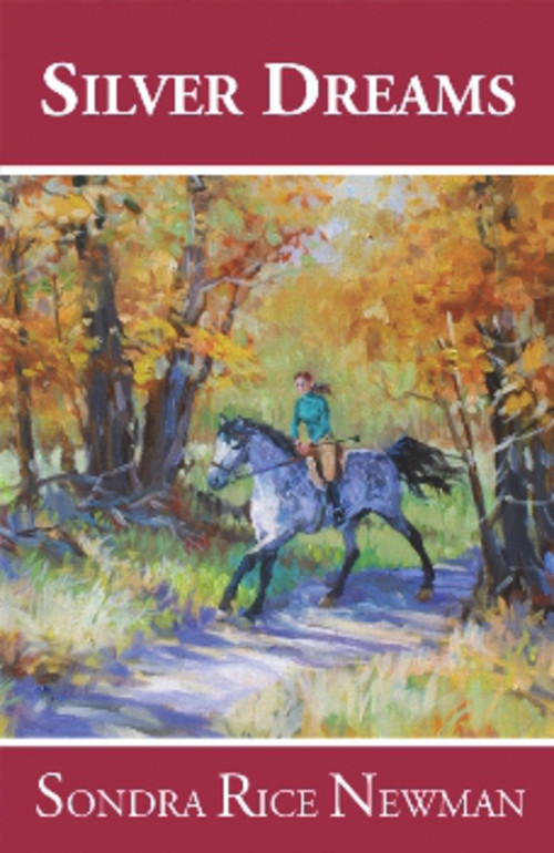 Silver Dreams by Sondra Rice Newman, 9781931741569
