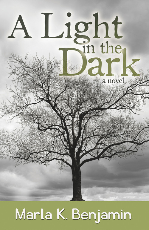 A Light in the Dark by Marla K. Benjamin, 9781939371966