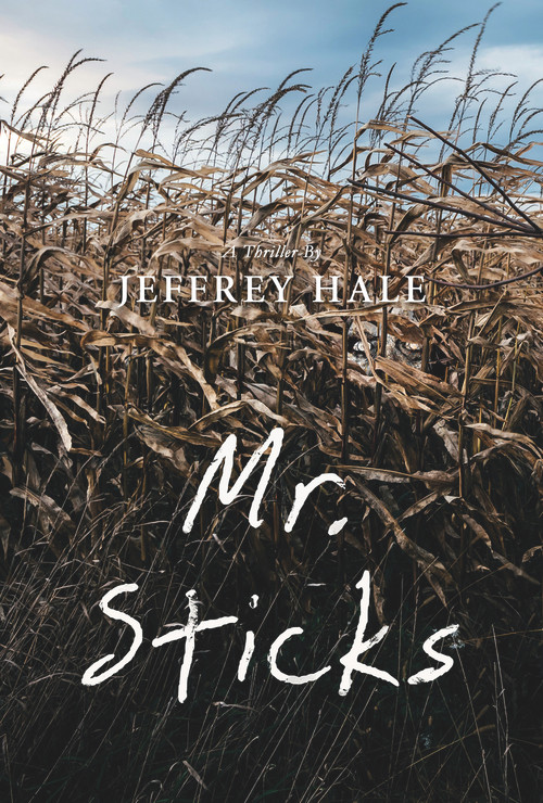Mr. Sticks by Jeffrey  Hale, 9781988281674