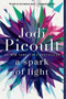 A Spark of Light (A Novel) by Jodi Picoult, 9780345545008
