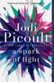 A Spark of Light (A Novel) by Jodi Picoult, 9780345545008
