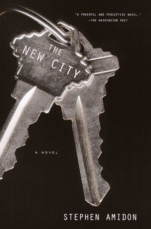 The New City (A Novel) by Stephen Amidon, 9780385497633