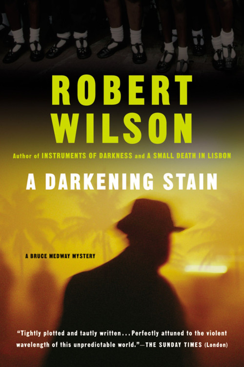 A Darkening Stain by Robert Wilson, 9780156011310