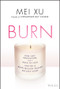 Burn (How Grit, Innovation, and a Dash of Luck Ignited a Multi-Million Dollar Success Story) by Mei Xu, 9781119695929