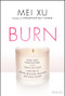 Burn (How Grit, Innovation, and a Dash of Luck Ignited a Multi-Million Dollar Success Story) by Mei Xu, 9781119695929