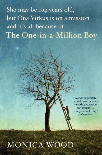 The One-In-A-Million Boy by Monica Wood, 9780544947214