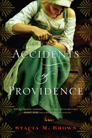 Accidents Of Providence by Stacia Brown, 9780547840116
