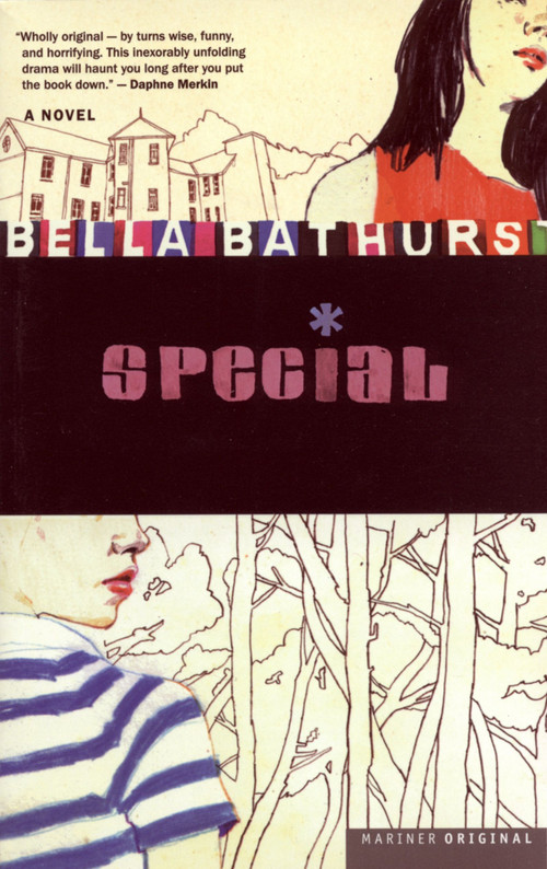 Special (A Novel) by Bella Bathurst, 9780618263271