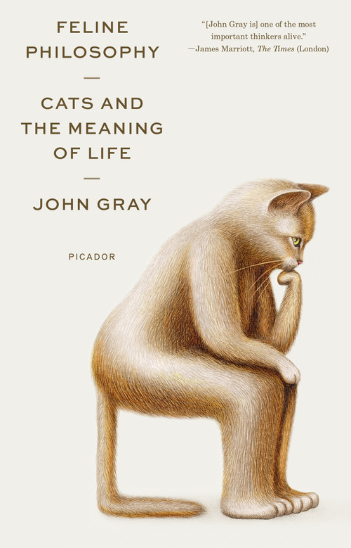 Feline Philosophy (Cats and the Meaning of Life) - 9781250800251 by John Gray, 9781250800251