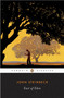 East of Eden by John Steinbeck, David Wyatt, 9780140186390
