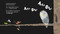 The Great AAA-OOO! - 9781680103700 by Jonny Lambert, Jonny Lambert