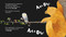 The Great AAA-OOO! - 9781680103700 by Jonny Lambert, Jonny Lambert