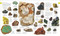 Natural History by DK, Smithsonian Institution, 9780744035018